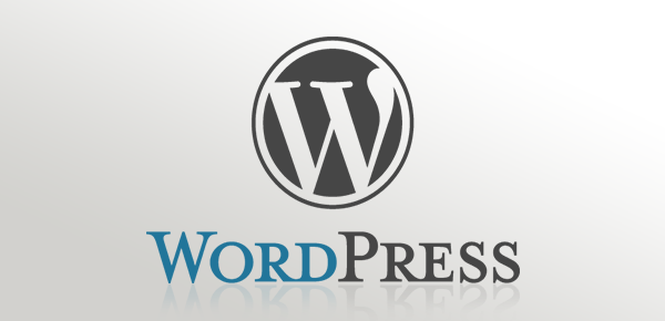 wordpress logo, wp logo, word press, wordpress software, wordpress brand, why we use wordpress, design4 marketing